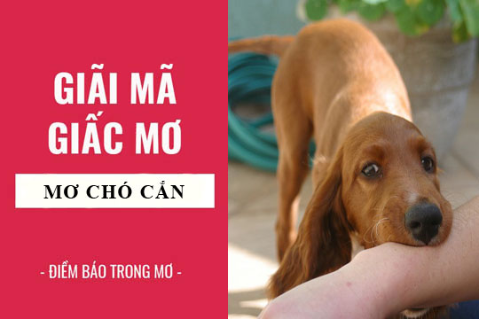 Cách đánh lô đề theo số mơ